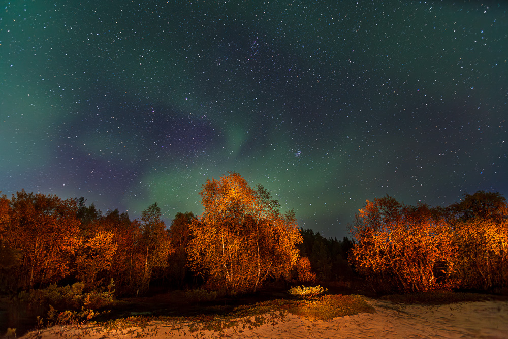 aurora-borrealis-polarlicht-finnland-2010.jpg20